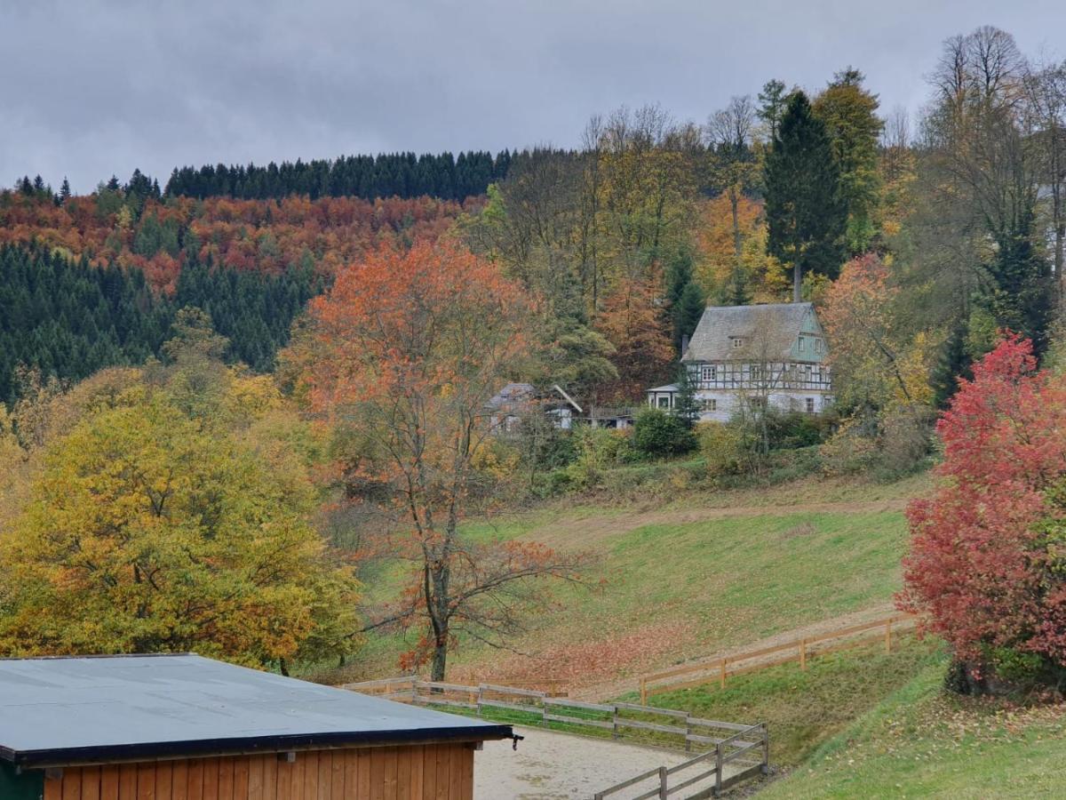 Jagthaus Am Rappelstein Villa Schmallenberg Exterior foto